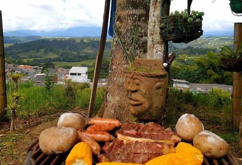 پانسیون Hostal Bremen