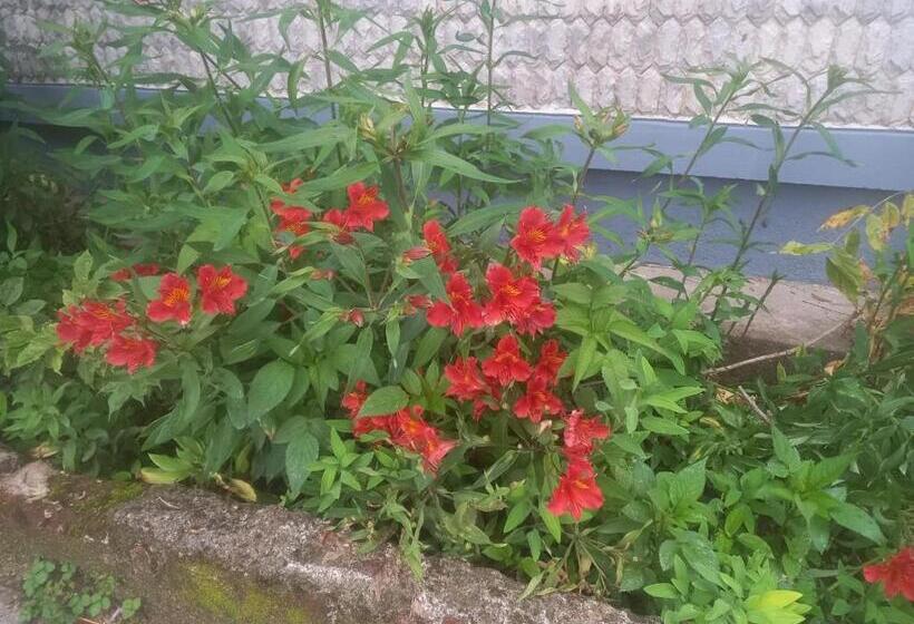 هتل Bruton Resorts