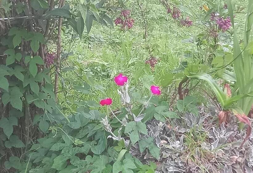 هتل Bruton Resorts