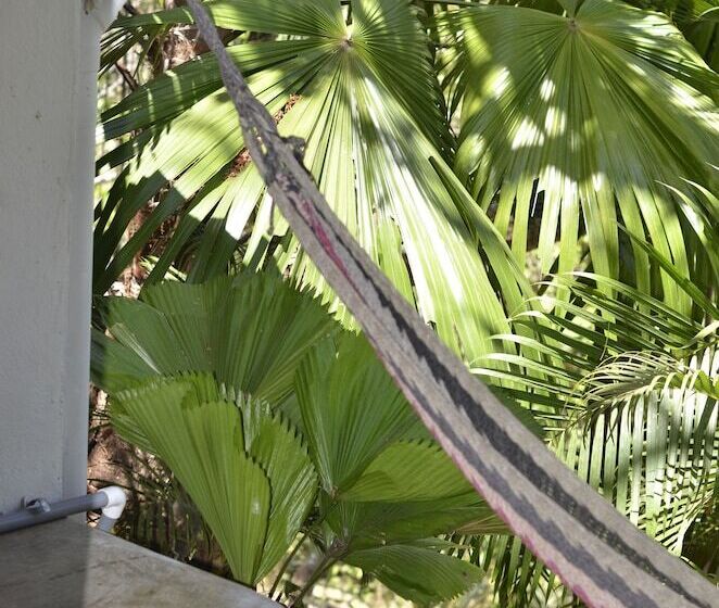 هتل Nature Lodge Finca Los Caballos