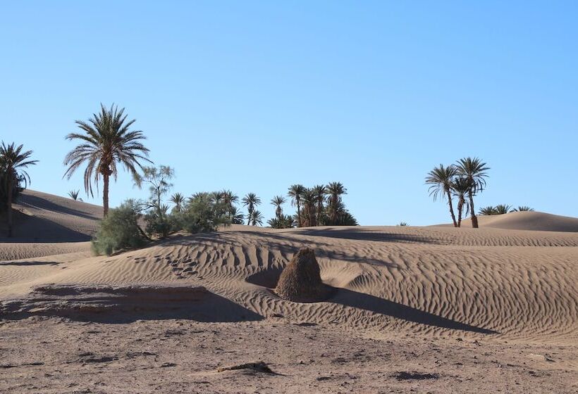 هتل Nomadic Life Camp