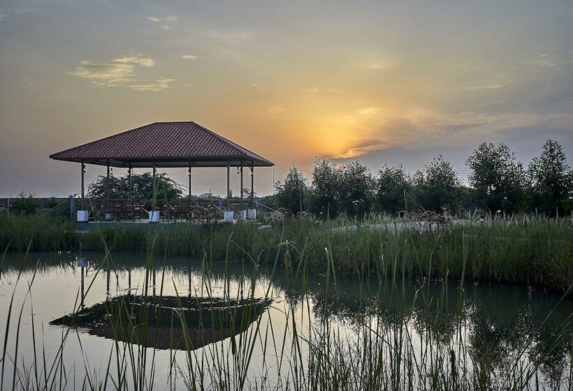 فندق Blackbuck Safari Lodge Velavadar