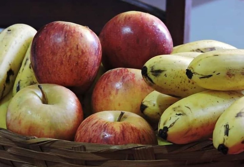 הוסטל Suíte Paraty