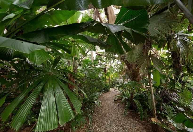 酒店 Rainforest Castaways Resort And Spa