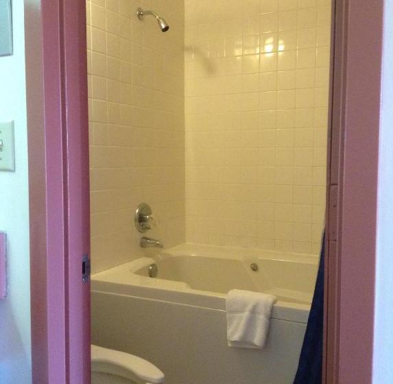 מוטל Astoria Hotel Danville West