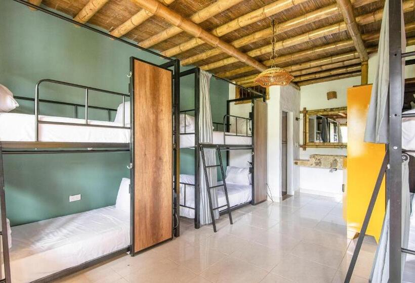 هاستل Socialtel Filandia