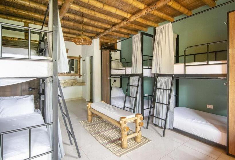 هاستل Socialtel Filandia