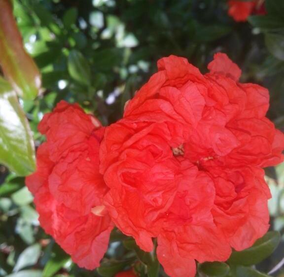 ベッドアンドブレックファースト Chambres D Hôtes Anne Marie