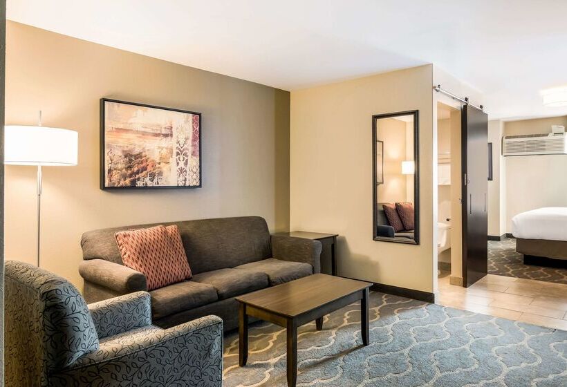 בית מלון כפרי Country Inn & Suites By Radisson, Grandvillegrand Rapids West, Mi