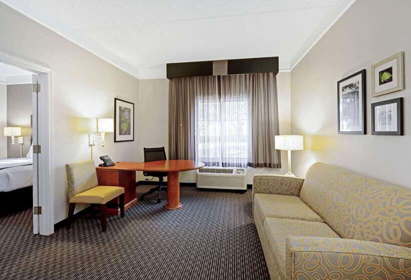 هتل La Quinta By Wyndham Houston West Park 10