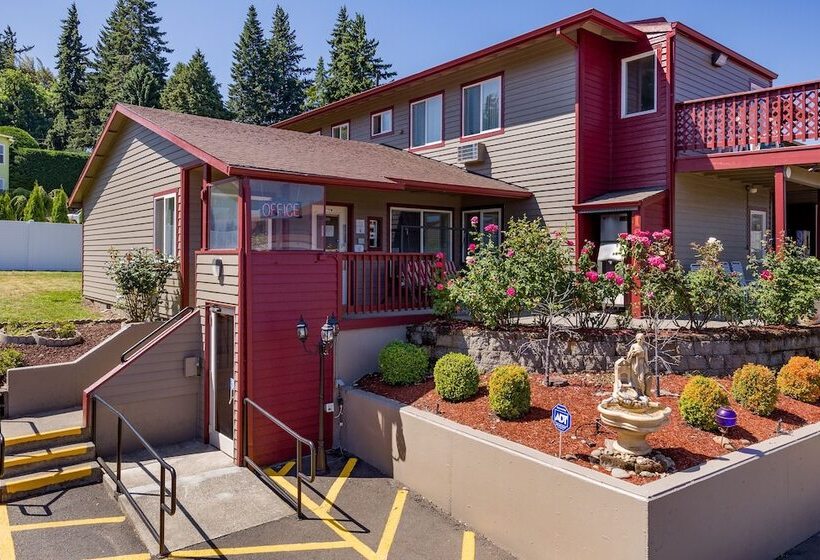 בית מלון כפרי Riverview Lodge