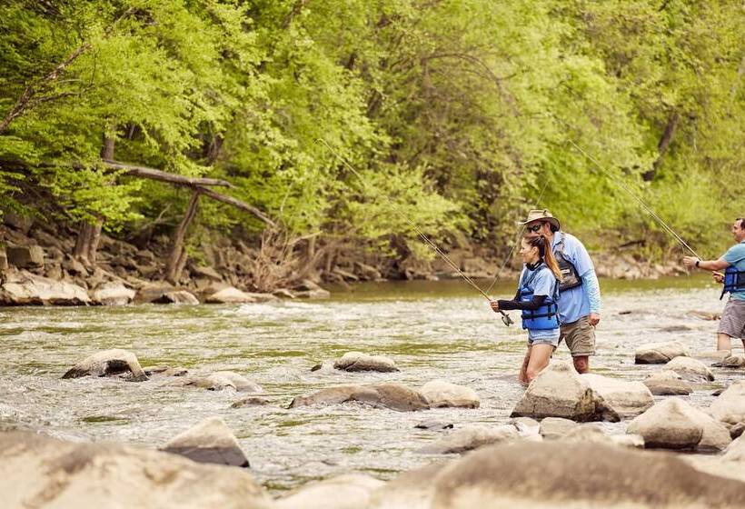 Lansdowne Resort And Spa