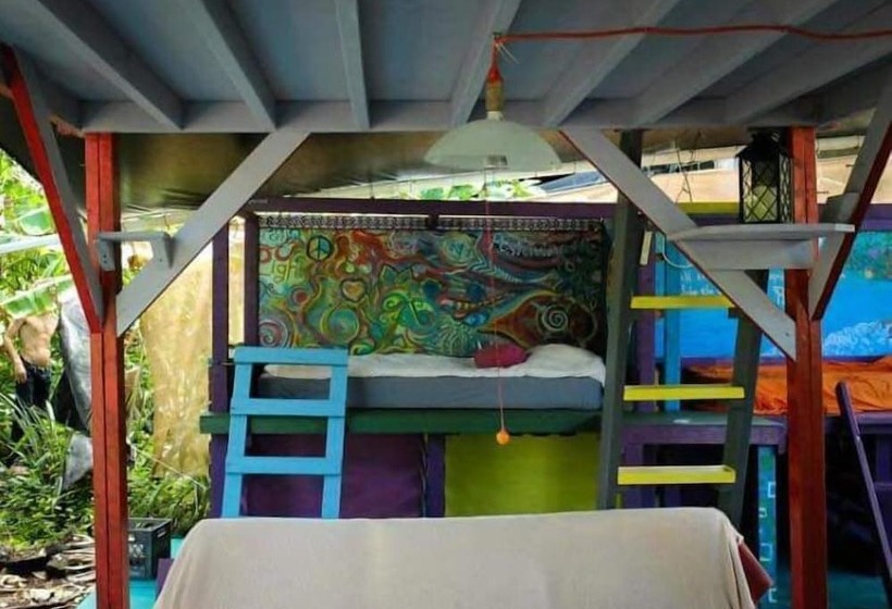 Cinderland Ecovillage   Hostel