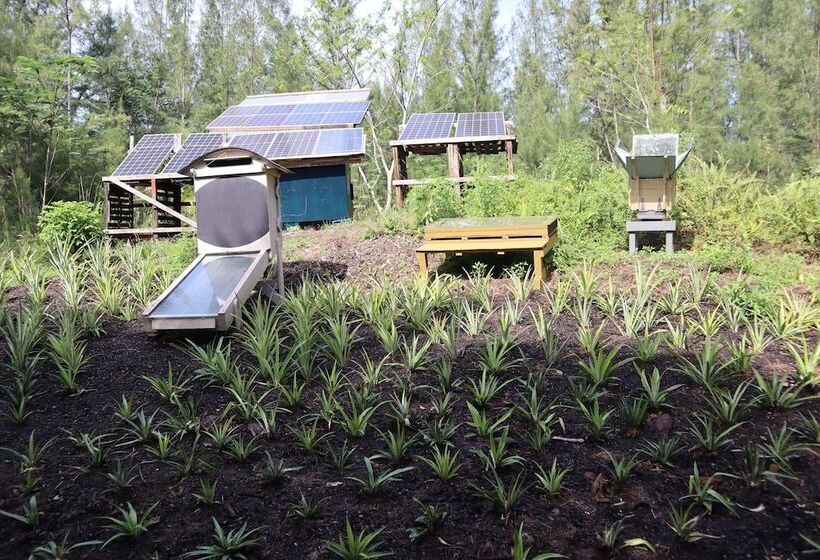 Cinderland Ecovillage   Hostel
