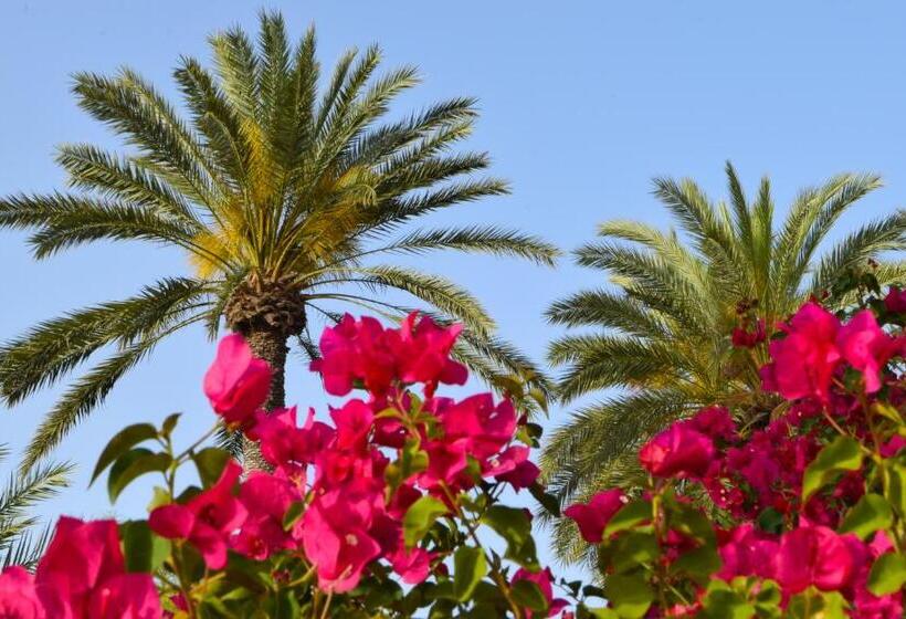 پانسیون Golden Palms Guest House & Cafe