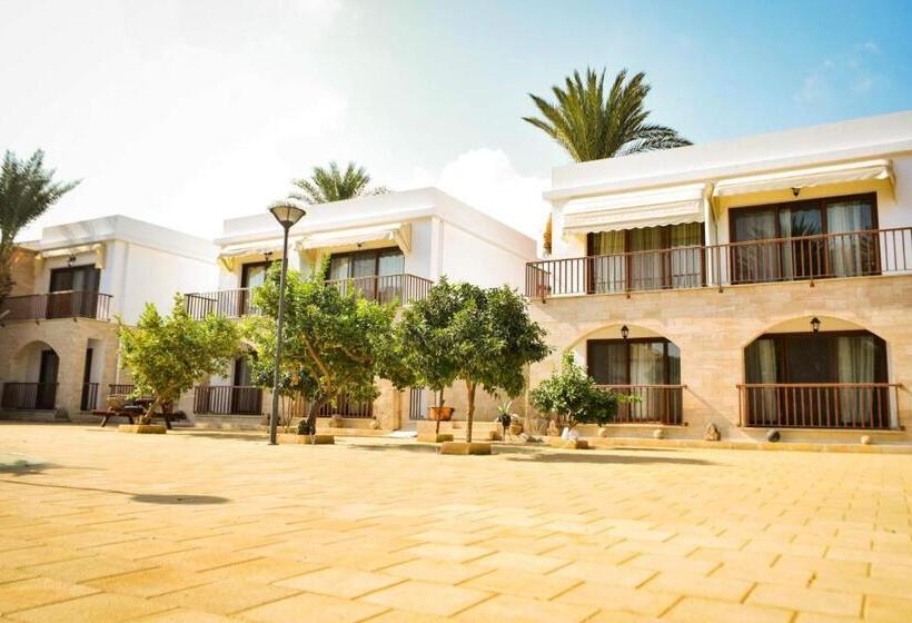 پانسیون Golden Palms Guest House & Cafe