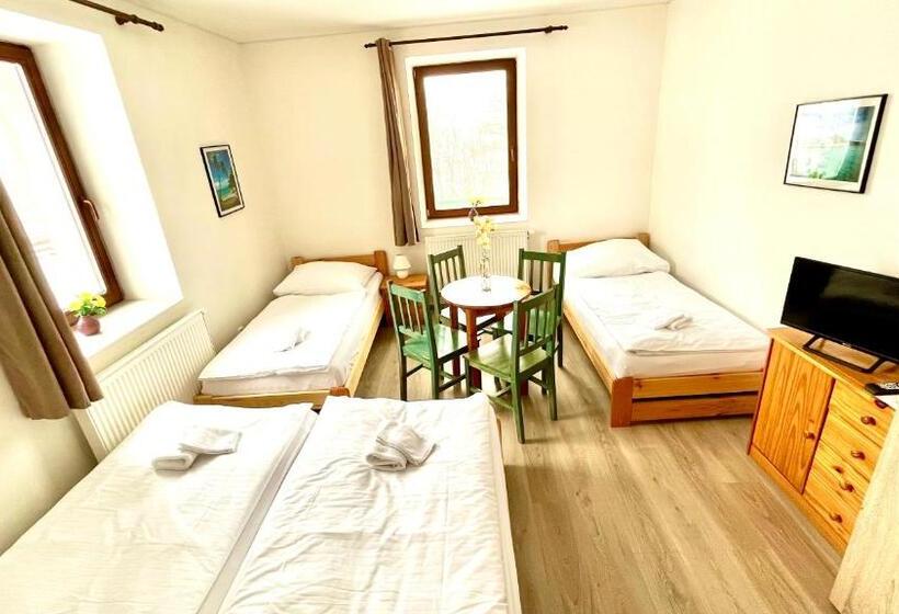 پانسیون Penzion Dolní Morava