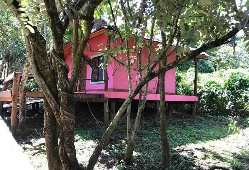 فندق Gibbon Lodge