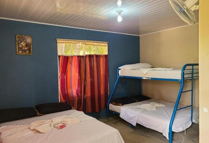 هتل Sophie House