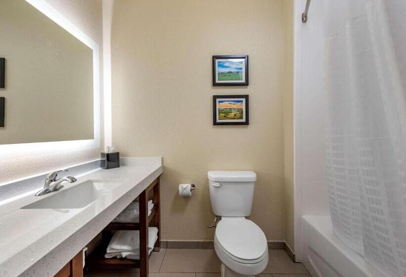 فندق Comfort Suites