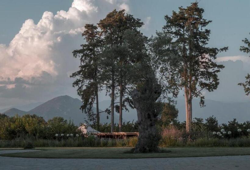 فندق I Cacciagalli Wine Resort