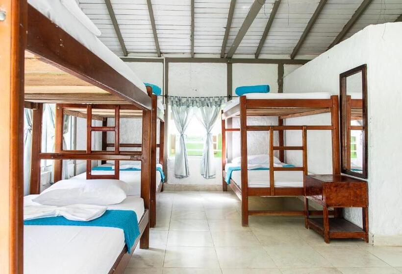 هتل Cabañas Los Almendros