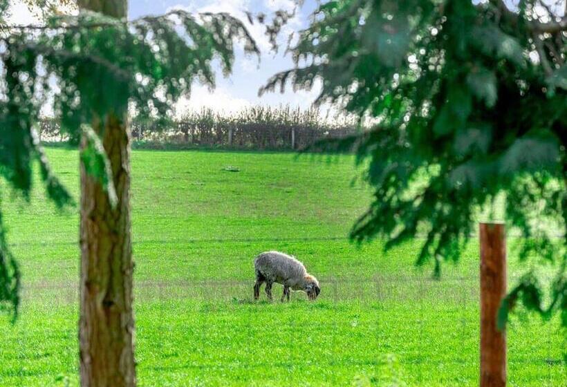 渡假胜地  Cedar Retreats