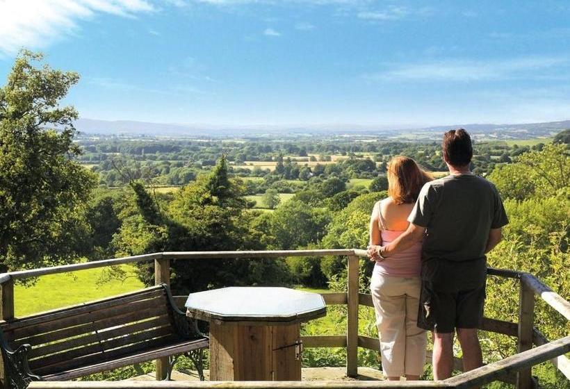 منتجع Wigley Orchard