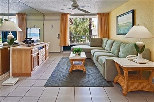 Magic Tree Resort