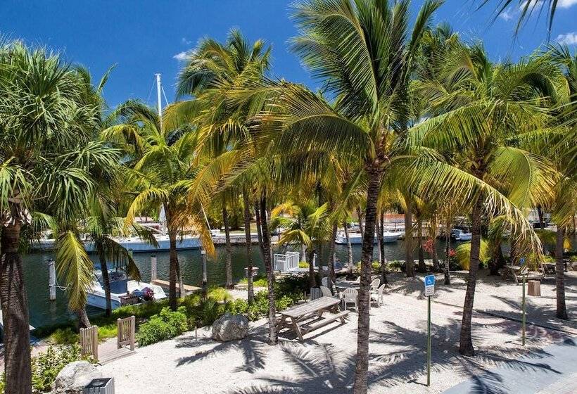 Marina Del Mar Resort And Marina