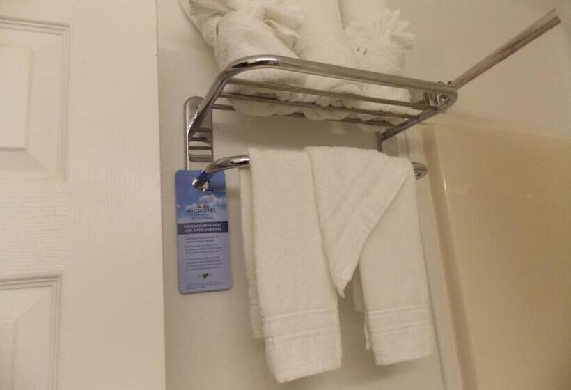 Microtel Inn By Wyndham Athens