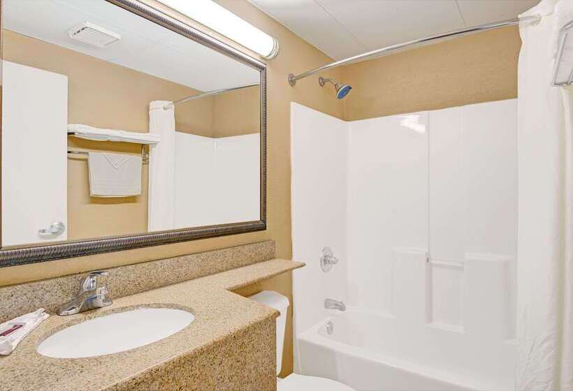 Microtel Inn & Suites By Wyndham Raleigh