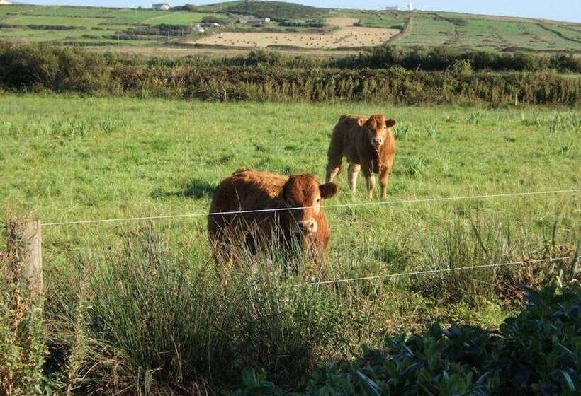 Glencarrig B&b