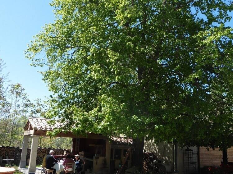 ベッドアンドブレックファースト L Albane Chambres D Hotes