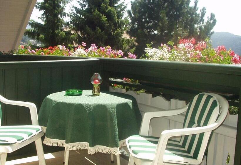 Pension & Apartments Ertl