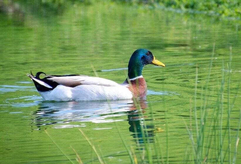 住宿加早餐  L Ecrin Du Segala   La Roulotte