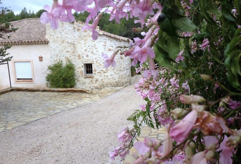 ベッドアンドブレックファースト La Désirade Chambres D Hôtes En Provence