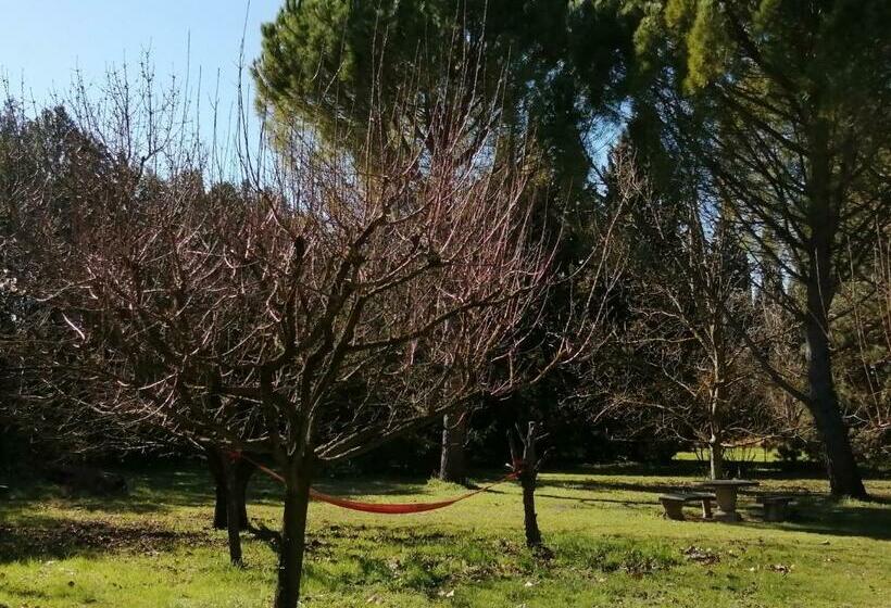 צימר Reve D’emma