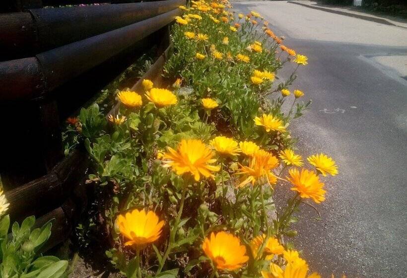 민박 Au Jardin De Creachavel