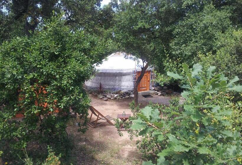 Bed and Breakfast Au Soleil Mongol