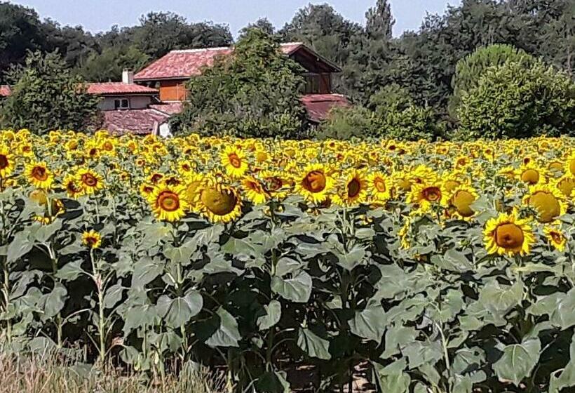 ベッドアンドブレックファースト Berdale