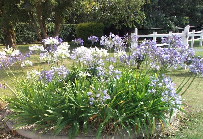 צימר La Vieux Ville