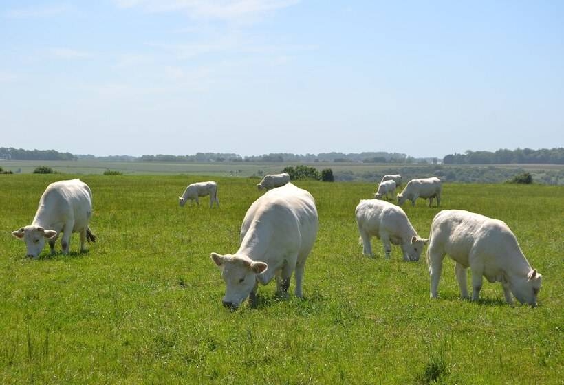 住宿加早餐  Rando Yourte