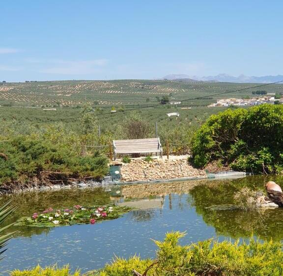 Casa Olivar B&b