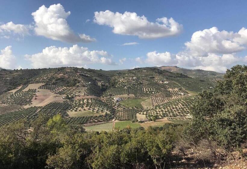 Casa Olivar B&b