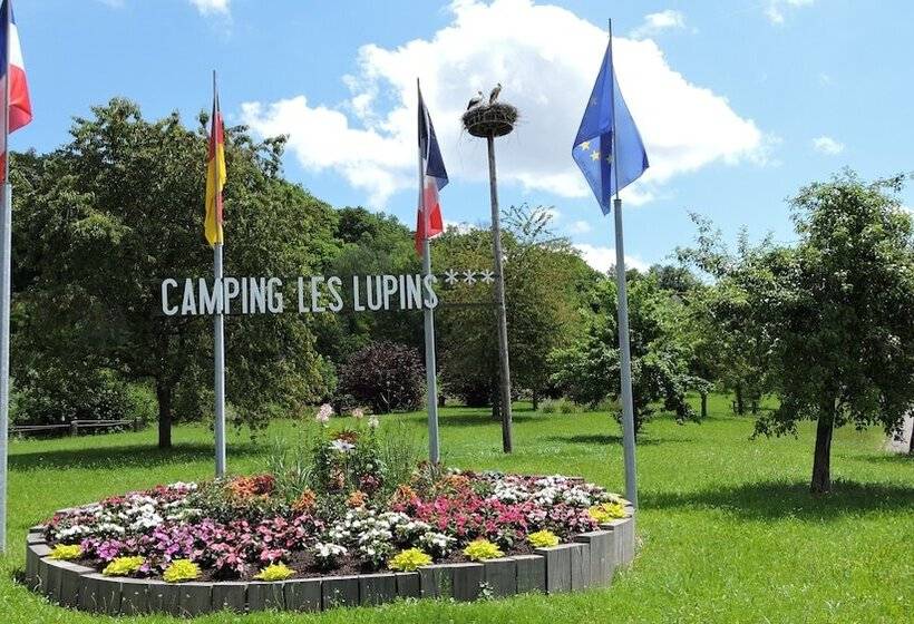 酒店 Camping Les Lupins