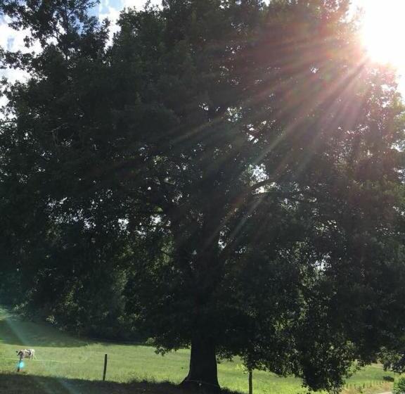 膳宿费 Gîte:sur Le Chemin