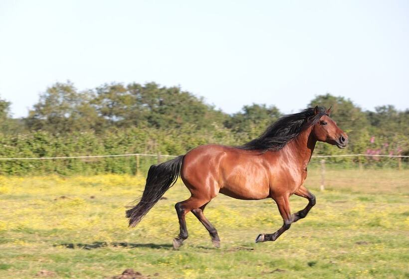 ペンション Relais De Chasse La Chaignaie