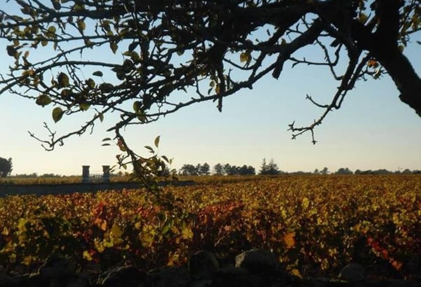 مبيت وإفطار Château Le Souley