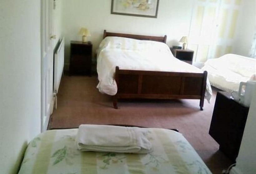 The Forest Inn